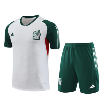 Training Short Mexique