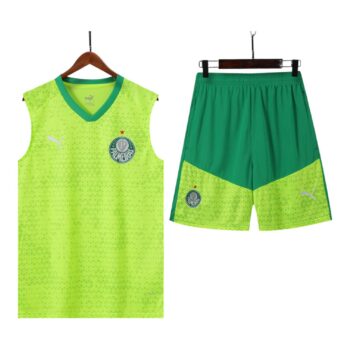 Palmeiras Training Kit